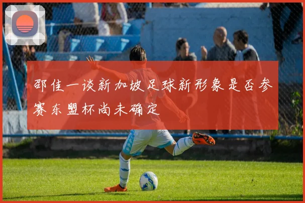邵佳一谈新加坡足球新形象是否参赛东盟杯尚未确定